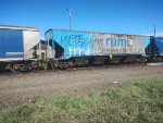 RUMO HPT-030108-6